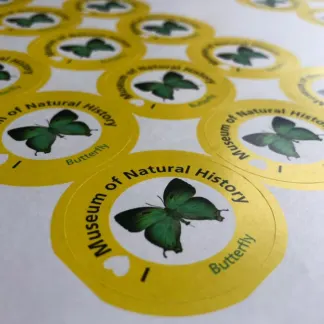 Paper Labels, Business Labels example